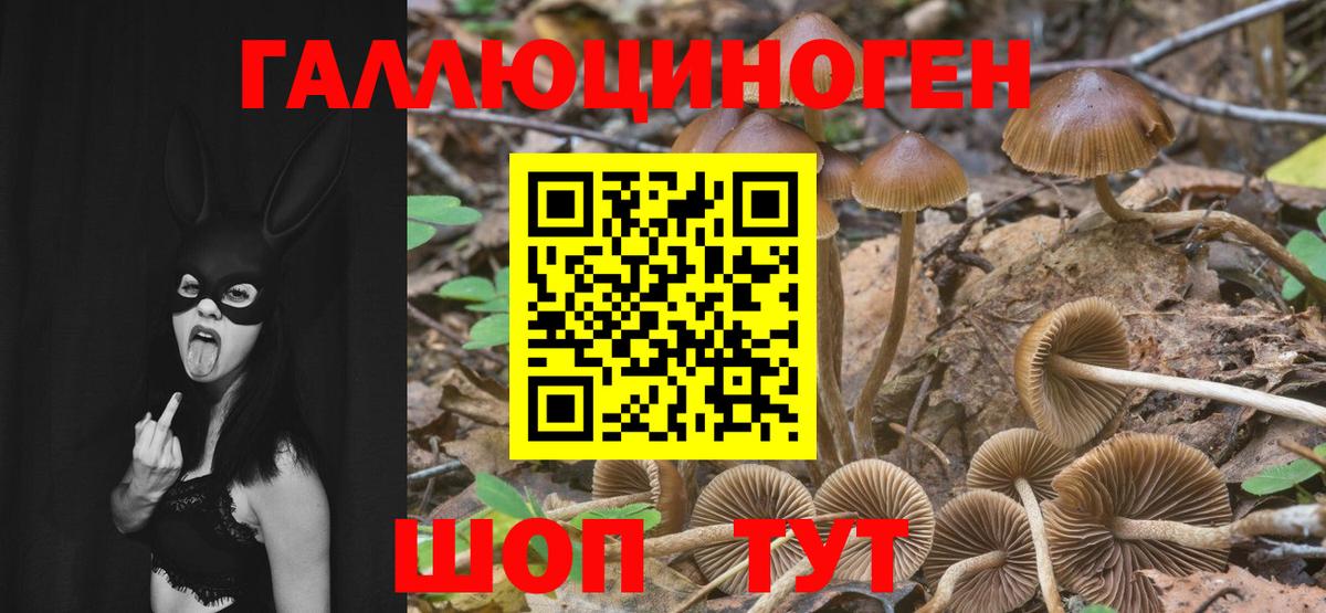 Псилоцибиновые грибы MAGIC MUSHROOMS  где можно купить наркотик  Пушкино  Вход с VPN 