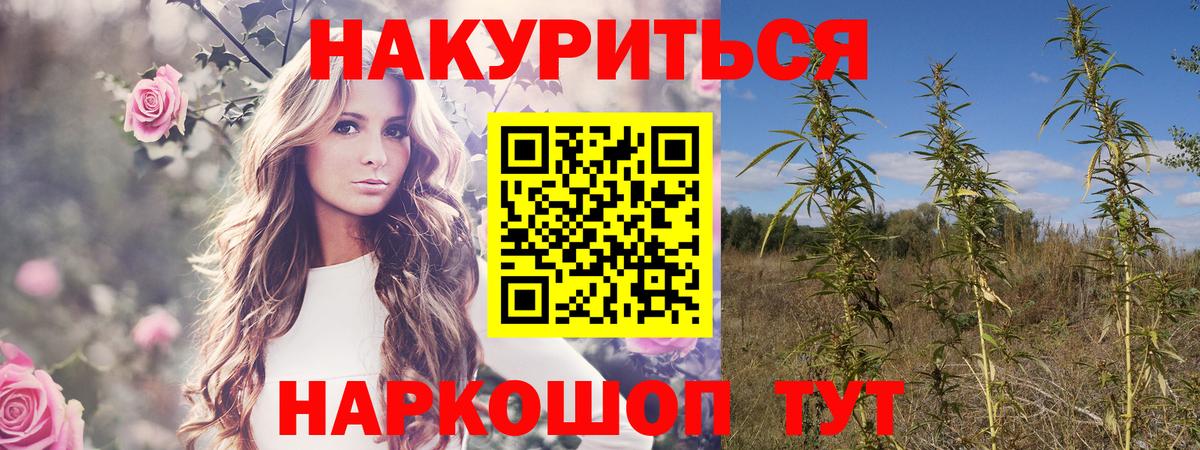 Марихуана Ganja Пушкино